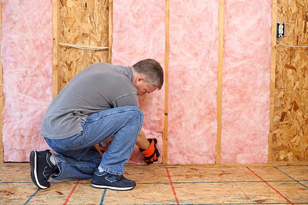Best Eco-Friendly Insulation in Clintwood, VA